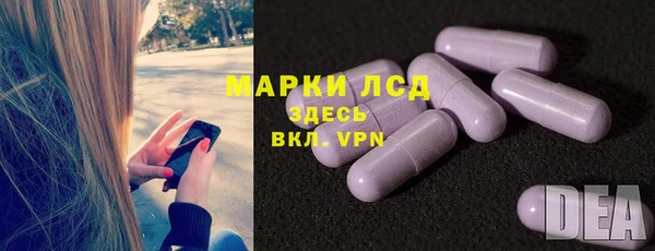 гидра Богородск
