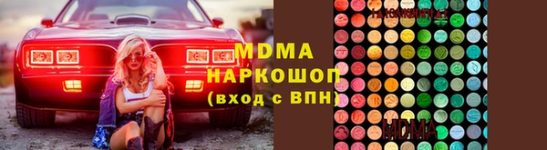гидра Богородск