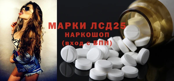 гидра Богородск