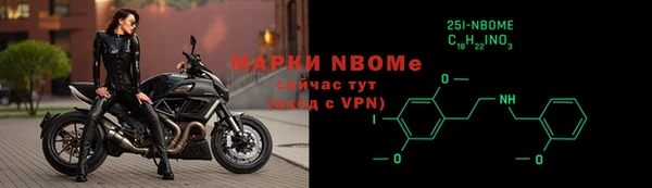 гидра Богородск
