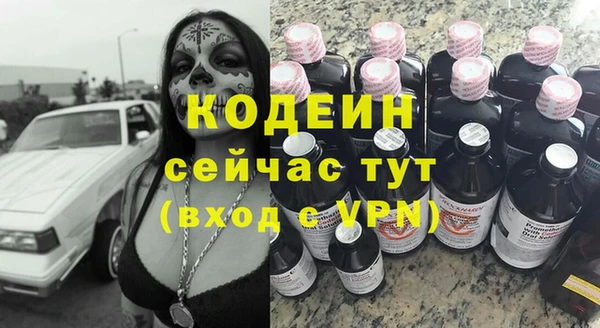 гидра Богородск