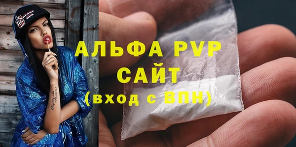 гидра Богородск