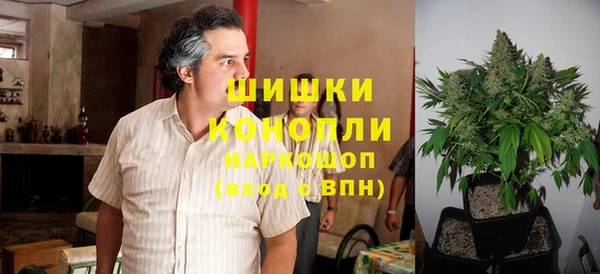 гидра Богородск