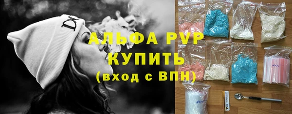 гидра Богородск